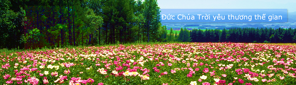 Việt Ngữ Tin Lành (www.vietngutinlanh.com)